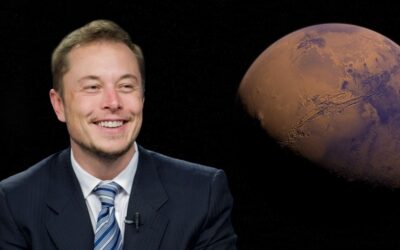 Will Elon Musk Move to South Florida?